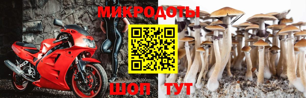 Псилоцибиновые грибы мицелий  Вход с VPN  Рассказово 